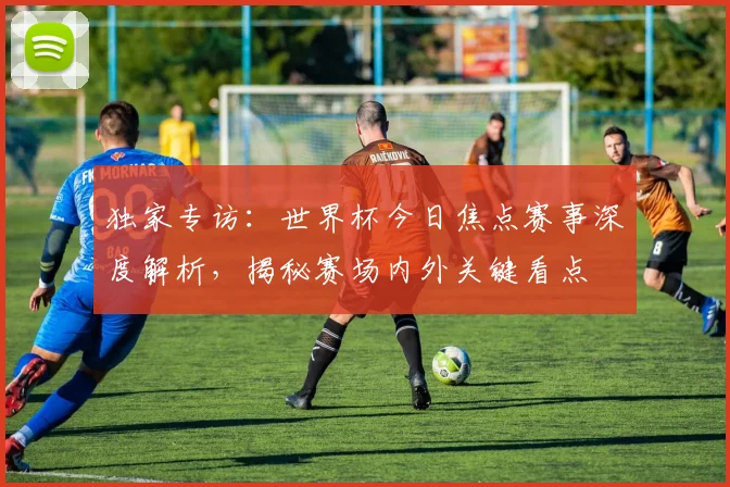 独家专访：世界杯今日焦点赛事深度解析，揭秘赛场内外关键看点